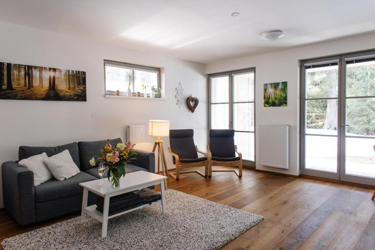 Apartman S Nadhernym Vyhledem V Centru Harrachova Exterior photo